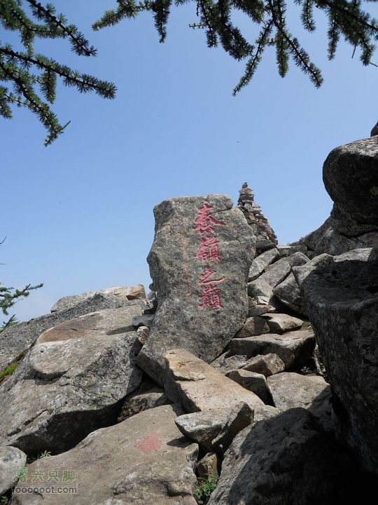 朱雀森林公园DSCN0645