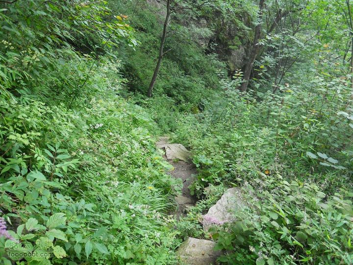 朱雀森林公园DSCN0693