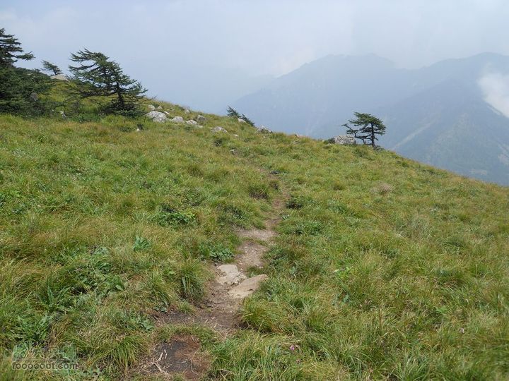 朱雀森林公园DSCN0656