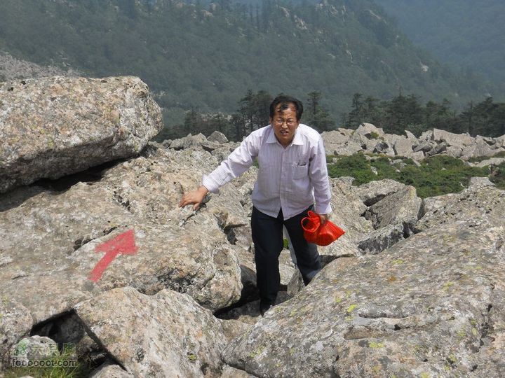 朱雀森林公园DSCN0661