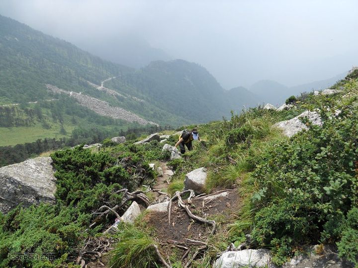 朱雀森林公园DSCN0665