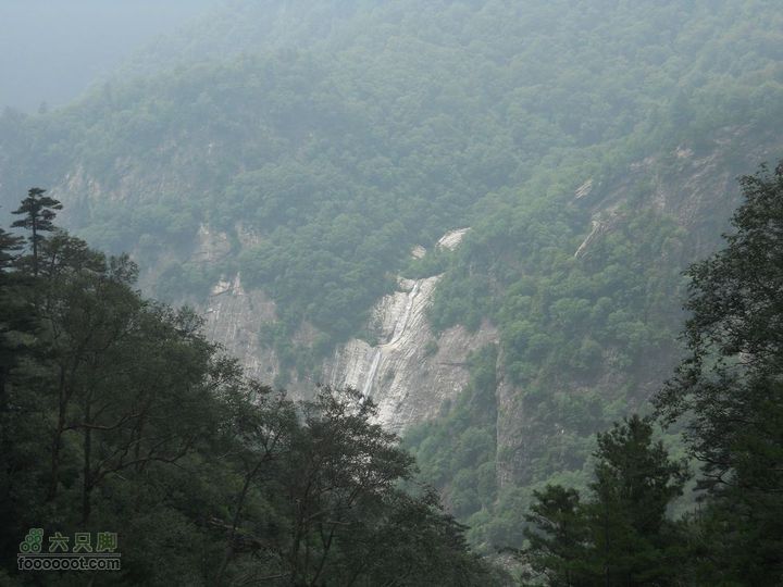 朱雀森林公园DSCN0677