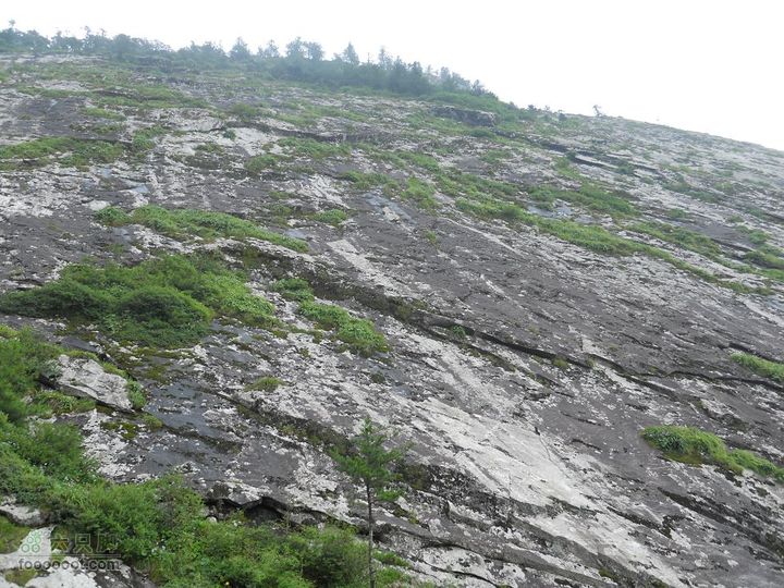 朱雀森林公园DSCN0678