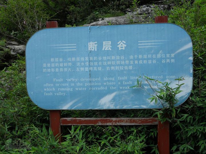 朱雀森林公园DSCN0680