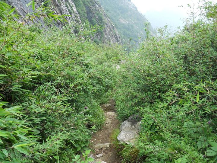 朱雀森林公园DSCN0681