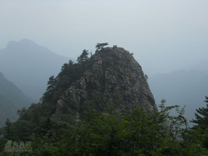 朱雀森林公园DSCN0682