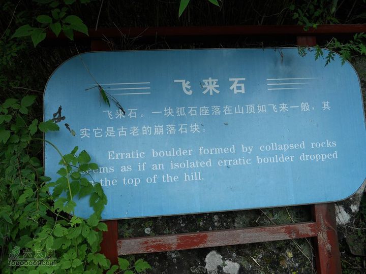 朱雀森林公园DSCN0683