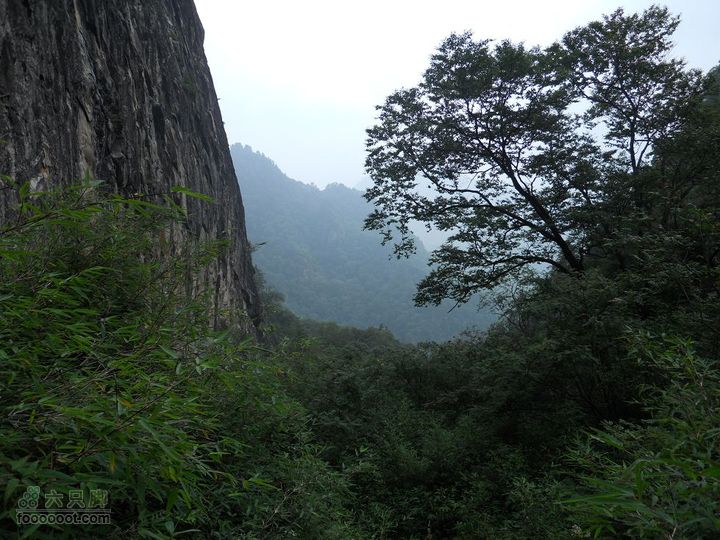 朱雀森林公园DSCN0686