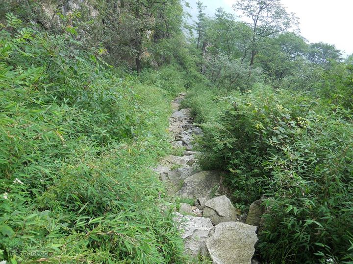 朱雀森林公园DSCN0688