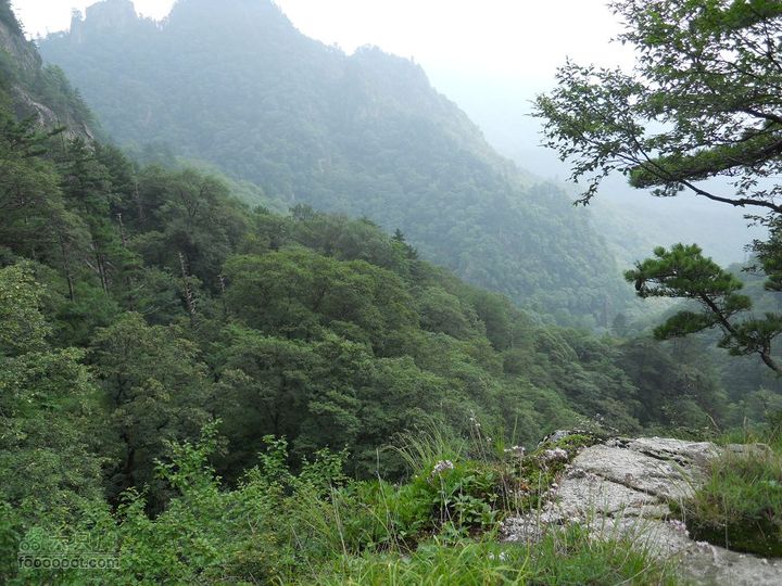 朱雀森林公园DSCN0689