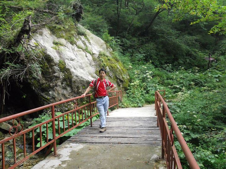 朱雀森林公园DSCN0697