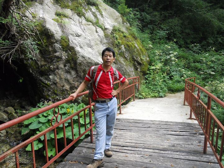 朱雀森林公园DSCN0698