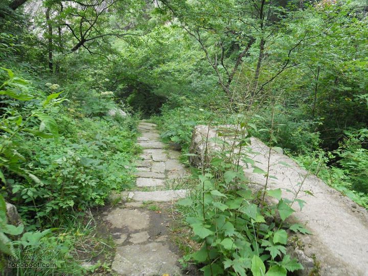 朱雀森林公园DSCN0701