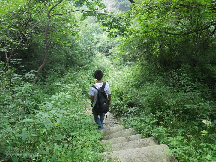 朱雀森林公园DSCN0703