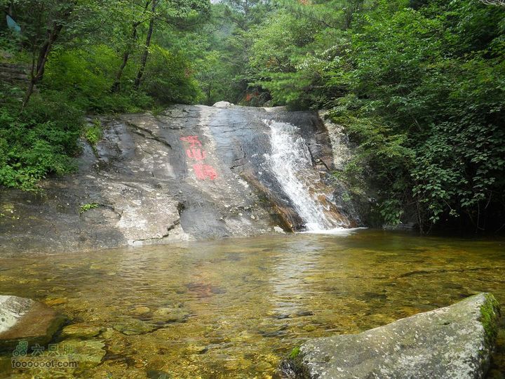 朱雀森林公园DSCN0707