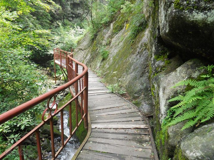 朱雀森林公园DSCN0710