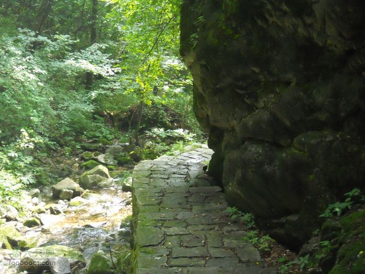 朱雀森林公园DSCN0713