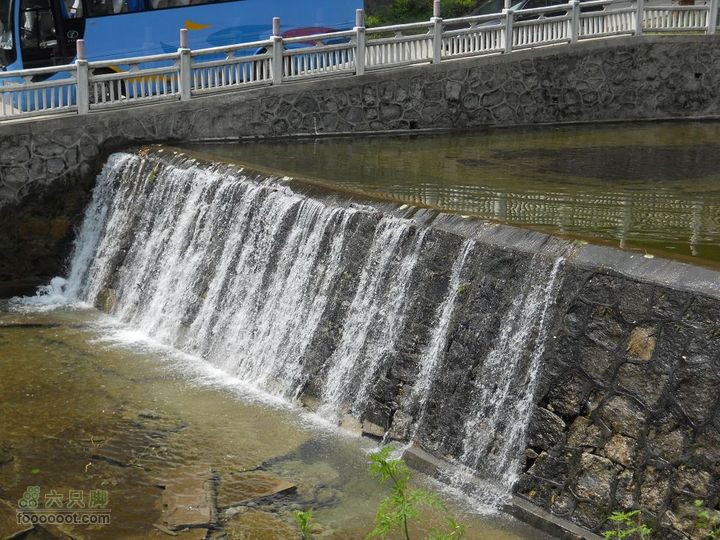 朱雀森林公园DSCN0721