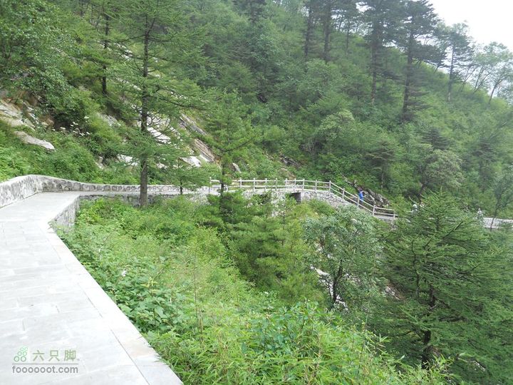 朱雀森林公园照片 024