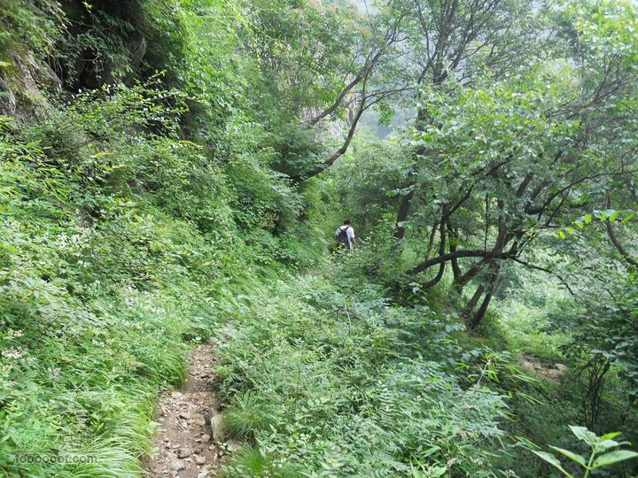 朱雀森林公园DSCN0694