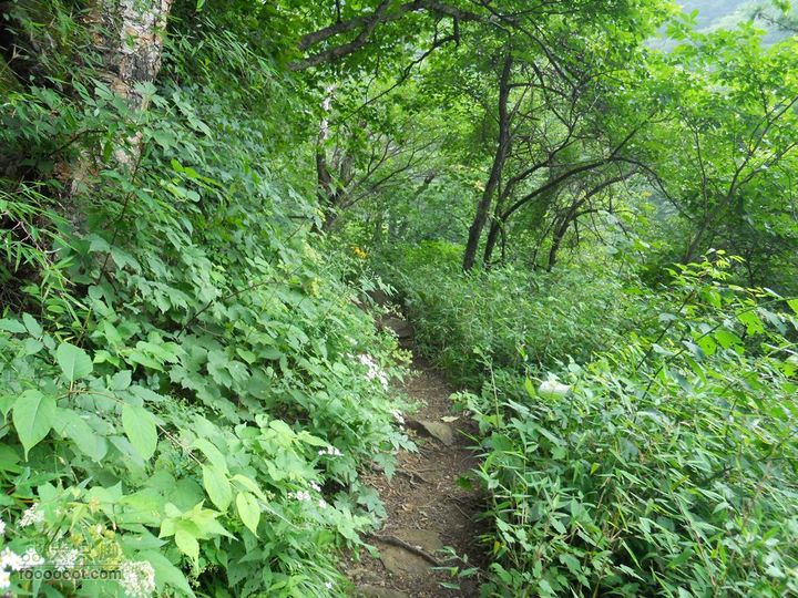 朱雀森林公园DSCN0695