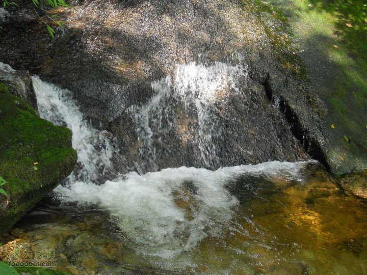 朱雀森林公园DSCN0712