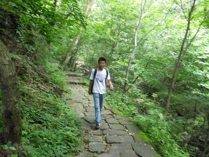 朱雀森林公园DSCN0714