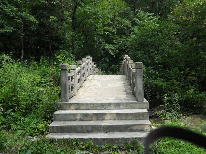 朱雀森林公园DSCN0717