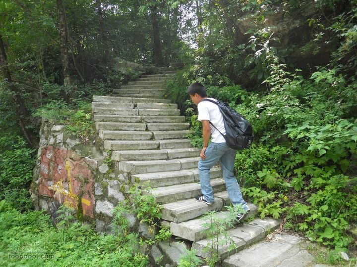 朱雀森林公园DSCN0718