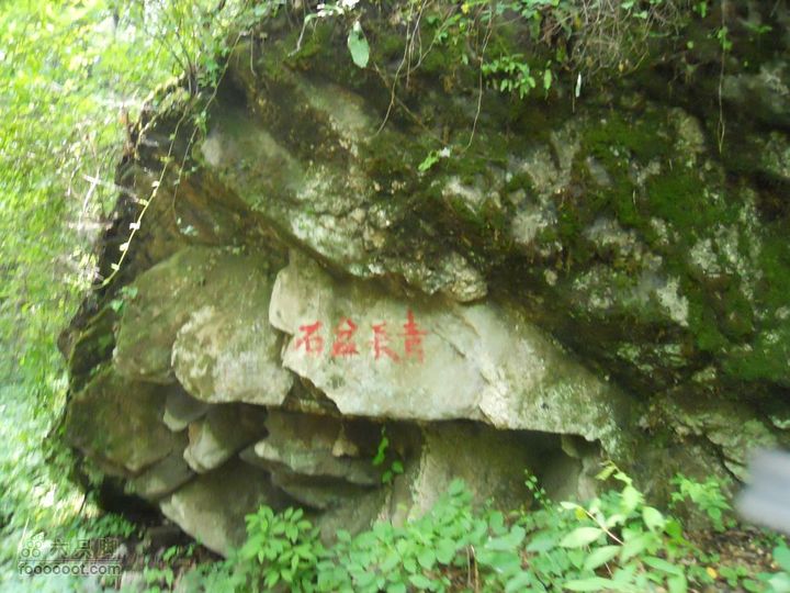 朱雀森林公园DSCN0719