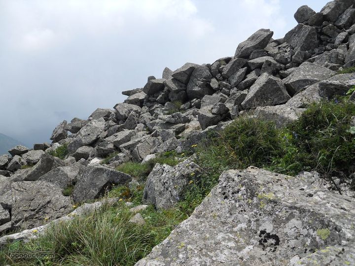 朱雀森林公园照片 013