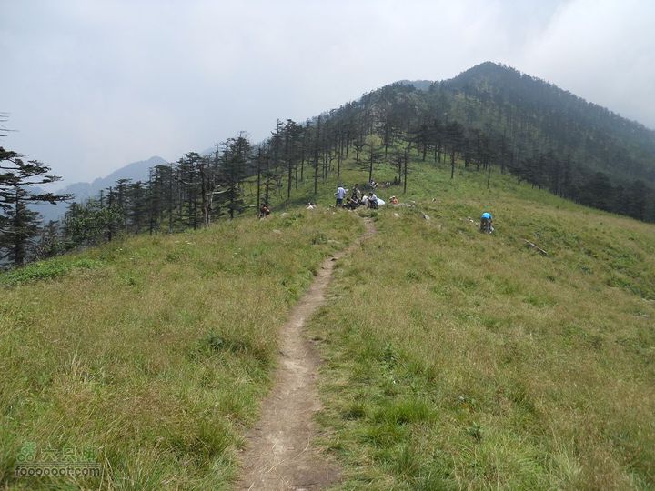 朱雀森林公园照片 016