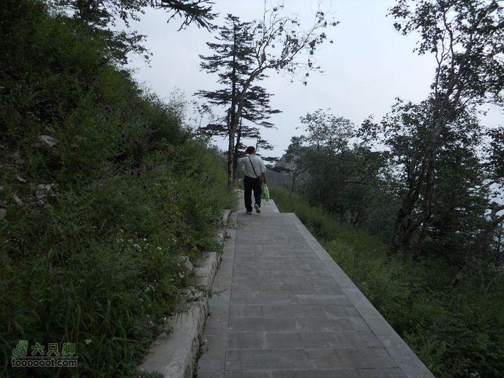 朱雀森林公园照片 019