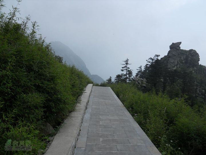 朱雀森林公园照片 020