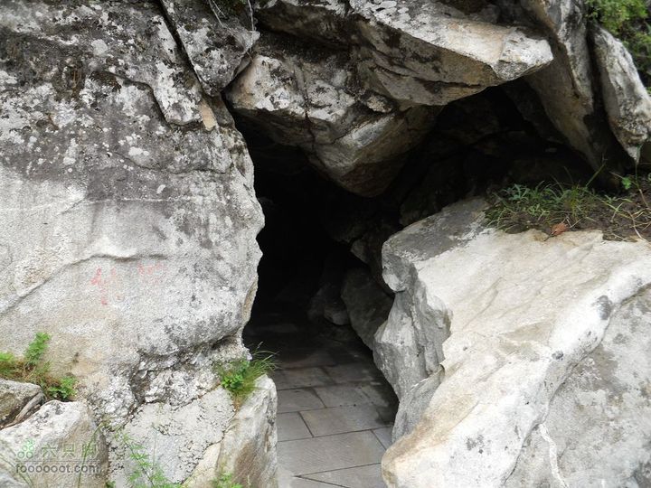 朱雀森林公园照片 022