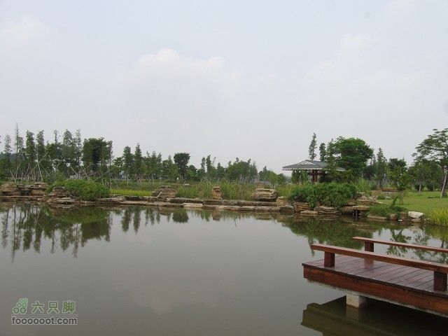 2011.8.7.海鸟聚会大学城顺游生物园及小州村IMG_4771_眸目压缩