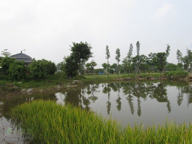 2011.8.7.海鸟聚会大学城顺游生物园及小州村IMG_4772_眸目压缩