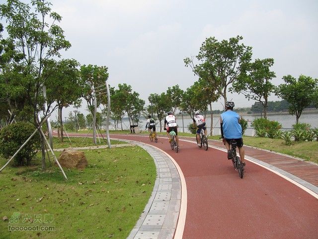 2011.8.7.海鸟聚会大学城顺游生物园及小州村IMG_4781_眸目压缩