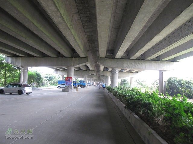 2011.8.7.海鸟聚会大学城顺游生物园及小州村IMG_4791_眸目压缩