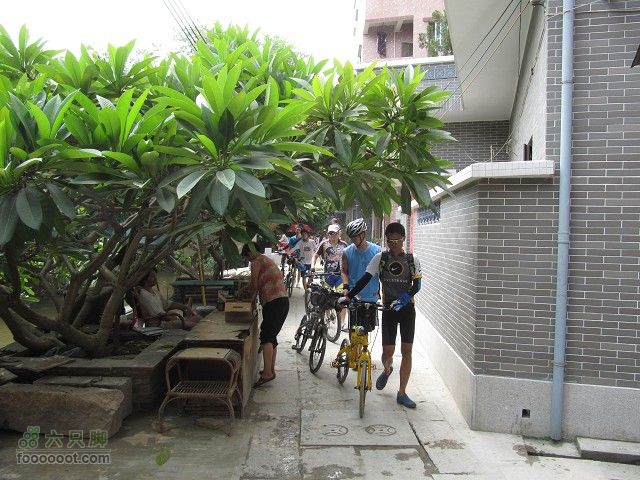 2011.8.7.海鸟聚会大学城顺游生物园及小州村IMG_4801_眸目压缩