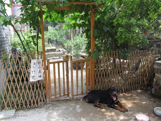 2011.8.7.海鸟聚会大学城顺游生物园及小州村IMG_4803_眸目压缩