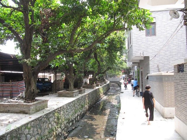 2011.8.7.海鸟聚会大学城顺游生物园及小州村IMG_4815_眸目压缩