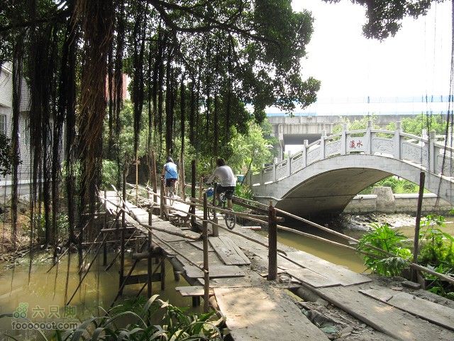 2011.8.7.海鸟聚会大学城顺游生物园及小州村IMG_4827_眸目压缩