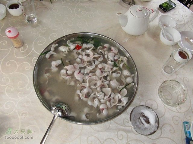 2011.8.7.海鸟聚会大学城顺游生物园及小州村IMG_4832_眸目压缩