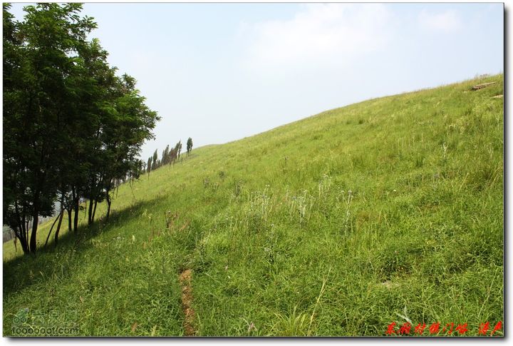 淄博东厢村三界顶镇门峪山顶基本是草地