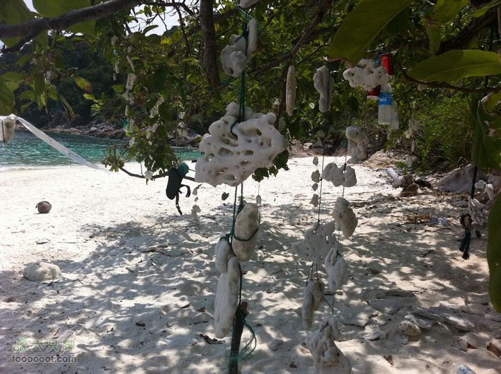 大马停泊岛－哥达巴鲁－吉隆坡之旅GPS轨迹＋照片珊瑚做的风铃
