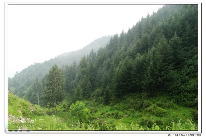 2011年8月山西五台山顺时针朝台2011-08-13RIMG0092