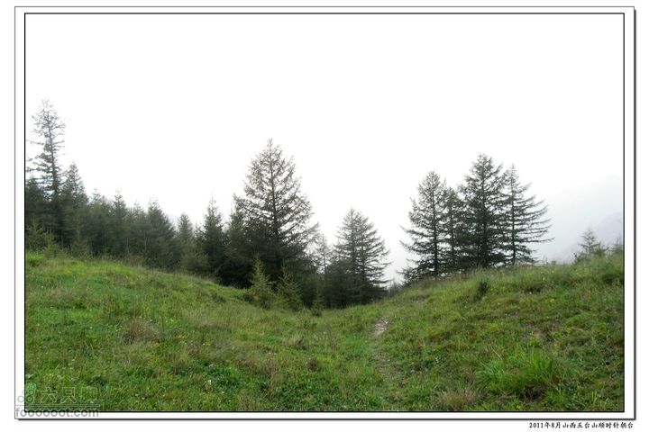 2011年8月山西五台山顺时针朝台2011-08-13RIMG0094