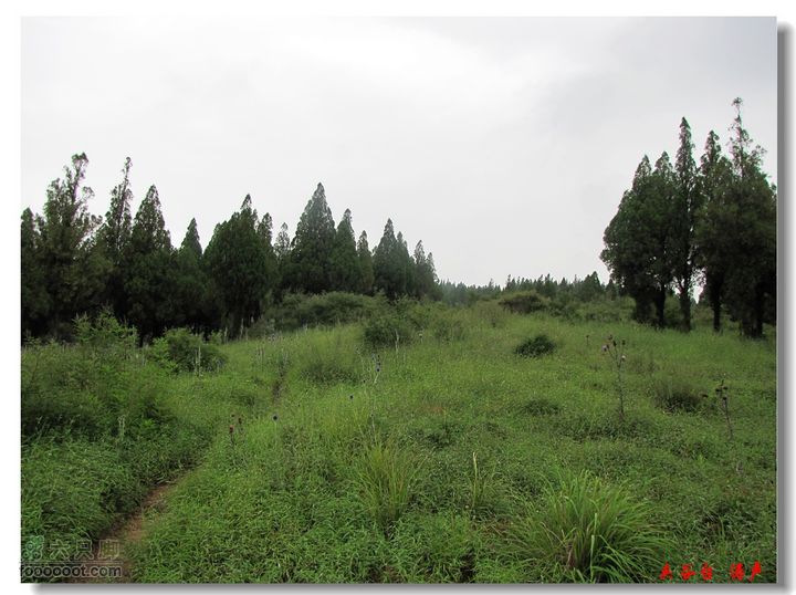 西北峪村-夹谷台山坡草地