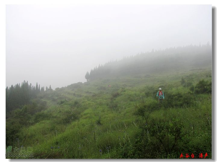 西北峪村-夹谷台IMG_0181